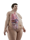 Illustration of an obese man's organs