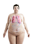 Illustration of an obese man's lungs