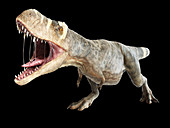 Illustration of a T-rex