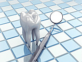 Angled mirror and tooth model, illustration