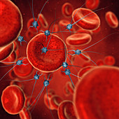 Nanorobots in blood stream, illustration