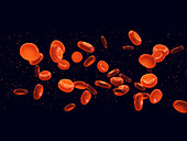 Red blood cells, illustration