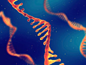 RNA molecules, illustration