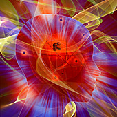 Brain atoms, illustration