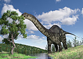 Brontosaurus, illustration