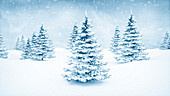 Winter landscape and fir trees, illustration