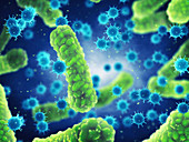 Pathogenic bacteria and viruses, illustration