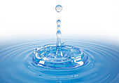 Single water drop splash, illustration