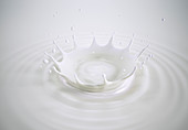 Milk crown splash with ripples, illustration