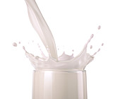 Milk pouring into a glass with splash, illustration