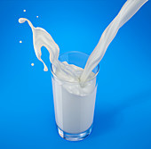 Pouring milk into a glass with splash, illustration