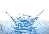 Crown splash in water with ripples, illustration
