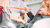 Little girl learning how to brush teeth in dental clinic