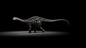 Apatosaurus animation