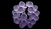Rotating purple spheres