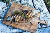 Wintergrillen: Geräucherte Lachsforelle auf Holzbrett (Norwegen)