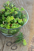 Spruce sprouts in a glass bowl on a wooden table