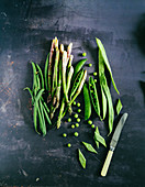 Green beans asparagus peas and flat beans taccole