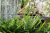 Fern in front of seating in wooden pavilion