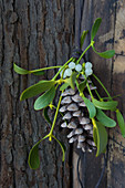 Fir cone decorated with sprig of misteltoe