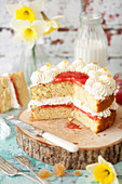 Cut open Vanilla Sponge Cake filled with jam and cream with crystallised ginger