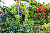 Gartenszene mit Zinkgiesskanne, Rosenbogen und Pergola