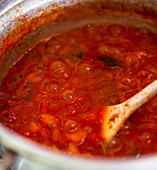 Tomato sugo (close-up)