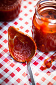Homemade tomato sauce in a preserving jar with a ladle
