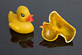Germs inside rubber duck