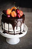 Chocolate Cake with Apricots and Cherries