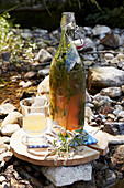 Selbstgemachte Wildkräuterlimonade in Glas und Flasche
