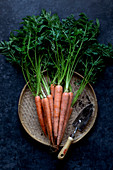 Fresh ripe carrots on a work surface