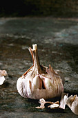 Fresh organic garlic bulb clove whole and peeled over dark metal background