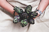 Person holding bunch of fresh artichokes