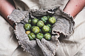 Person holding fresh greengages in grey cloth