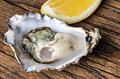 A fresh oyster with a lemon slice