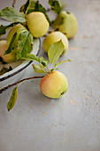 Gelbe Äpfel mit Zweigen in einer Schüssel