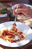 Spaghetti with tomatoes and fried aubergine and pecorino cheeese