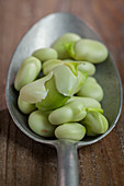 Fava beans on a spoon (close up)
