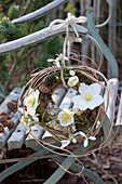 Kranz aus Moos und Gräsern mit Blüten von Christrose und Schneeglöckchen an Stuhllehne