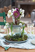 Blüten von Christrose und Lenzrose mit Schneeglöckchen in selbstgebauter Etagere
