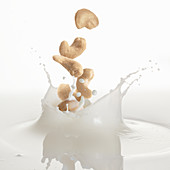 Cashew kernels falling into milk