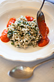 Barley risotto with tomato sauce