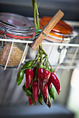 Hot peppers hanging on a spice board
