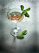 A Gin & Tonic with mint leaves