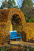 Blue garden bench in front of autumnal beech hedge (Kreislehrgarten, Steinfurt, Germany)
