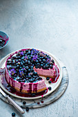 Bluberry cheesecake with bluberry sauce and lavender, slice removed