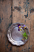 Violas on pewter plate