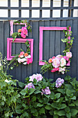 Pinkfarbene Bilderrahmen mit Blumen dekoriert, an Holzwand im Garten