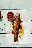 Baked Trout Fish with Herbs and Lemon on a turqouise surface
